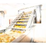 Import Tropical fruit line from chinese wholesale supplier and manufacturer