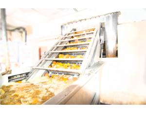 Import Tropical fruit line from chinese wholesale supplier and manufacturer