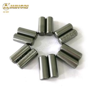 Import Tungsten Carbide Stud for HPGR from chinese wholesale supplier and manufacturer