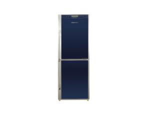 Import Two Doors Refrigerator BCD-228GS/MS / BCD-248GS/MS from chinese wholesale supplier and manufacturer