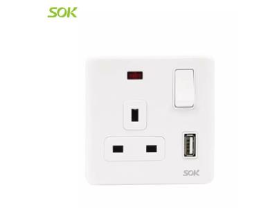 Import USB Charger + Double Pole Switched BS Outlet with Neon – 2.1A 13A from chinese wholesale supplier and manufacturer
