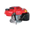 Import Vertical Gasoline Engine MPV140 -5.0HP from chinese wholesale supplier and manufacturer