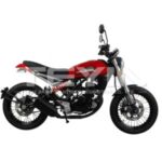 Import VOX 125CC from chinese wholesale supplier and manufacturer
