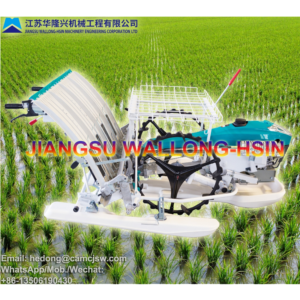 Import Walk-behind Type Rice Transplanter 2ZW-4 from chinese wholesale supplier and manufacturer