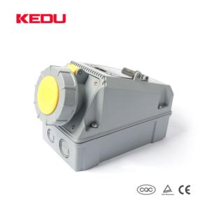 Import Wall Mounted Socket Outlets IP67 from chinese wholesale supplier and manufacturer