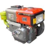 Import Water Cooled Diesel Engine-190L from chinese wholesale supplier and manufacturer