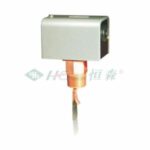 Import Water flow switch from chinese wholesale supplier and manufacturer