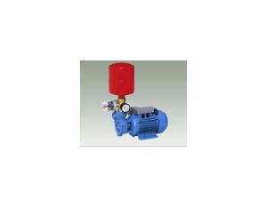 Import Water Pump from chinese wholesale supplier and manufacturer