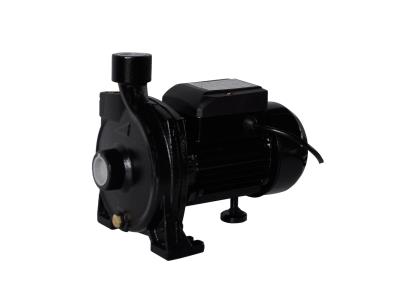 Import water pump CPM-158 from chinese wholesale supplier and manufacturer