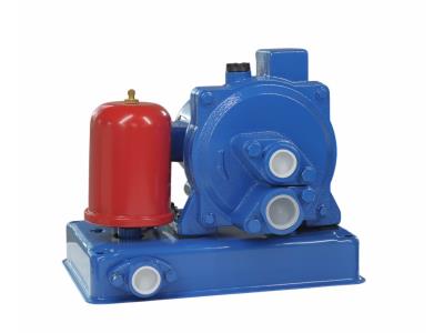 Import water pump YMD-305D/S from chinese wholesale supplier and manufacturer