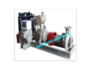Import Water pump/power generation dual-use sets from chinese wholesale supplier and manufacturer