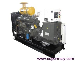 Import Weifang Ricardo Generator from chinese wholesale supplier and manufacturer