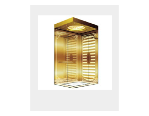 Import WIN 900 Series Villa Elevator from chinese wholesale supplier and manufacturer
