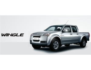 Import Wingle Car from chinese wholesale supplier and manufacturer