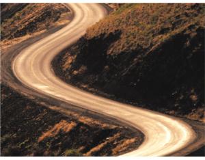 Import Xinjiang Buerjin Kanas Lake Tourist Highway from chinese wholesale supplier and manufacturer