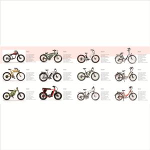 Import XTION Fat Tire Electric Bicycle Fat tyre mountain electric bike from chinese wholesale supplier and manufacturer