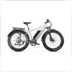 Import XTION NEW FAT TYRE ELECTRIC BKE NEW TIRE EBIKE from chinese wholesale supplier and manufacturer