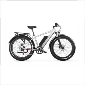 Import XTION NEW FAT TYRE ELECTRIC BKE NEW TIRE EBIKE from chinese wholesale supplier and manufacturer