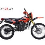 Import XY125GY(EEC) from chinese wholesale supplier and manufacturer