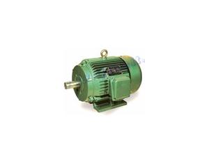 Import Y SERIES THREE-PHASE SQUIRREL-CAGE INDUCTION MOTORS from chinese wholesale supplier and manufacturer