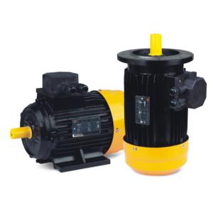 Import Y2/EY2 THREE PHASE CAST IRON MOTOR from chinese wholesale supplier and manufacturer