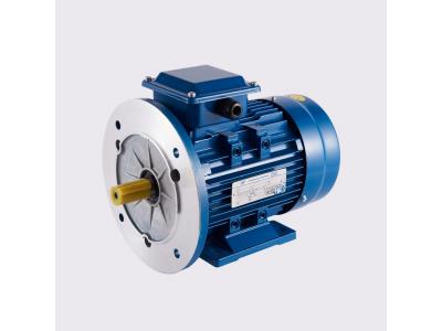 Import YE2 series IEC B35 mounted three phase asynchronous motor from chinese wholesale supplier and manufacturer