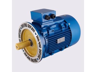 Import YE2 series IEC B5 mounted three phase asynchronous motor from chinese wholesale supplier and manufacturer