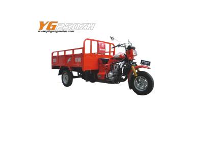 Import Yingang Tricycle–YG200ZH from chinese wholesale supplier and manufacturer