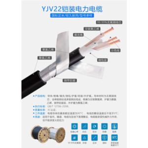 Import YJV 22 armored power cable from chinese wholesale supplier and manufacturer
