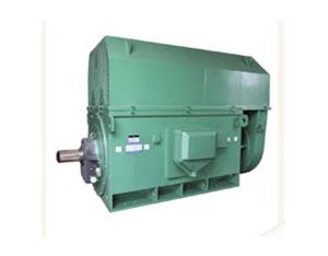 Import YKK series Motor from chinese wholesale supplier and manufacturer