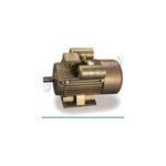 Import YL SERIES TWO-VALUE CAPACITOR ASYNCHRONOUS MOTORS from chinese wholesale supplier and manufacturer