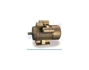 Import YL SERIES TWO-VALUE CAPACITOR ASYNCHRONOUS MOTORS from chinese wholesale supplier and manufacturer