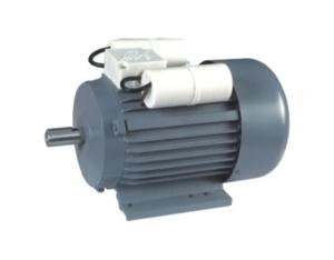 Import YL single-phase double value capacitance asynchronous motor from chinese wholesale supplier and manufacturer