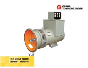 Import YLB Series Brushless Steel Shell Housing Generator from chinese wholesale supplier and manufacturer