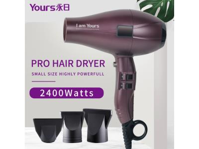 Import YOURS Pro Hair Dryer with Nozzle from chinese wholesale supplier and manufacturer