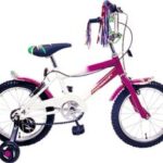 Import YQ1609 – “PHOENIX” 16″ BMX from chinese wholesale supplier and manufacturer