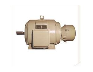 Import YR series three-plese motor from chinese wholesale supplier and manufacturer