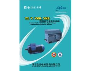 Import Y、YKK、YKS HIGH VOLTAGE from chinese wholesale supplier and manufacturer