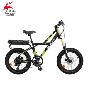 Import 20″ Al Alloy Rear Motor Beach Tires Electric Bicycle from chinese wholesale supplier and manufacturer