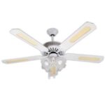 Import 52″ceiling fan from chinese wholesale supplier and manufacturer