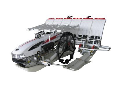 Import 6 Rows Walking Rice Transplanter Machine from chinese wholesale supplier and manufacturer