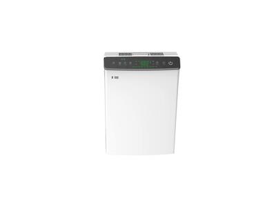 Import Air cleaner from chinese wholesale supplier and manufacturer