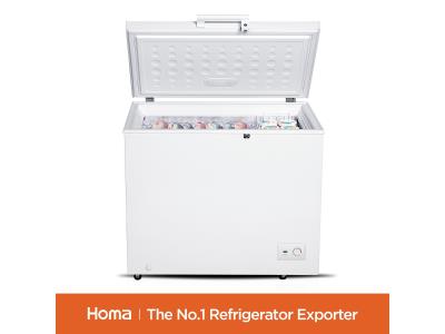 Import BD1-251 chest freezer from chinese wholesale supplier and manufacturer
