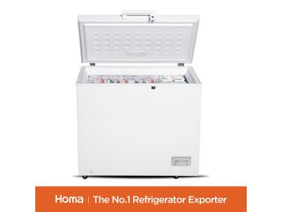 Import BE1-251chest freezer from chinese wholesale supplier and manufacturer