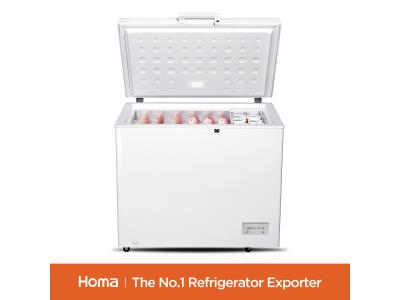 Import BE1-260 chest freezer from chinese wholesale supplier and manufacturer