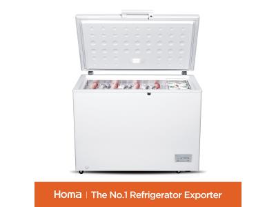 Import BE1-316 chest freezer from chinese wholesale supplier and manufacturer