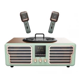 Import Bluetooth Karaoke Speaker from chinese wholesale supplier and manufacturer