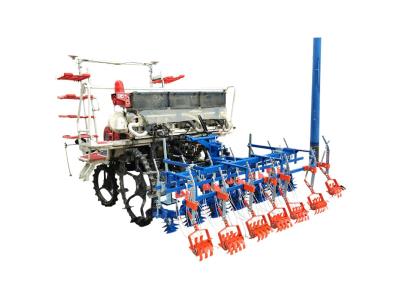 Import Chalion-6A Paddy Rice Weeder from chinese wholesale supplier and manufacturer