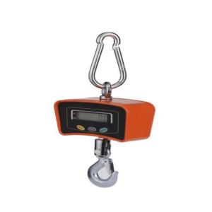 Import Hook scale from chinese wholesale supplier and manufacturer