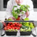 Import J&C MG-Norm-AC-14-white/black grow light for seedling starter trays/green box/pot plants easy installation small pack. from chinese wholesale supplier and manufacturer